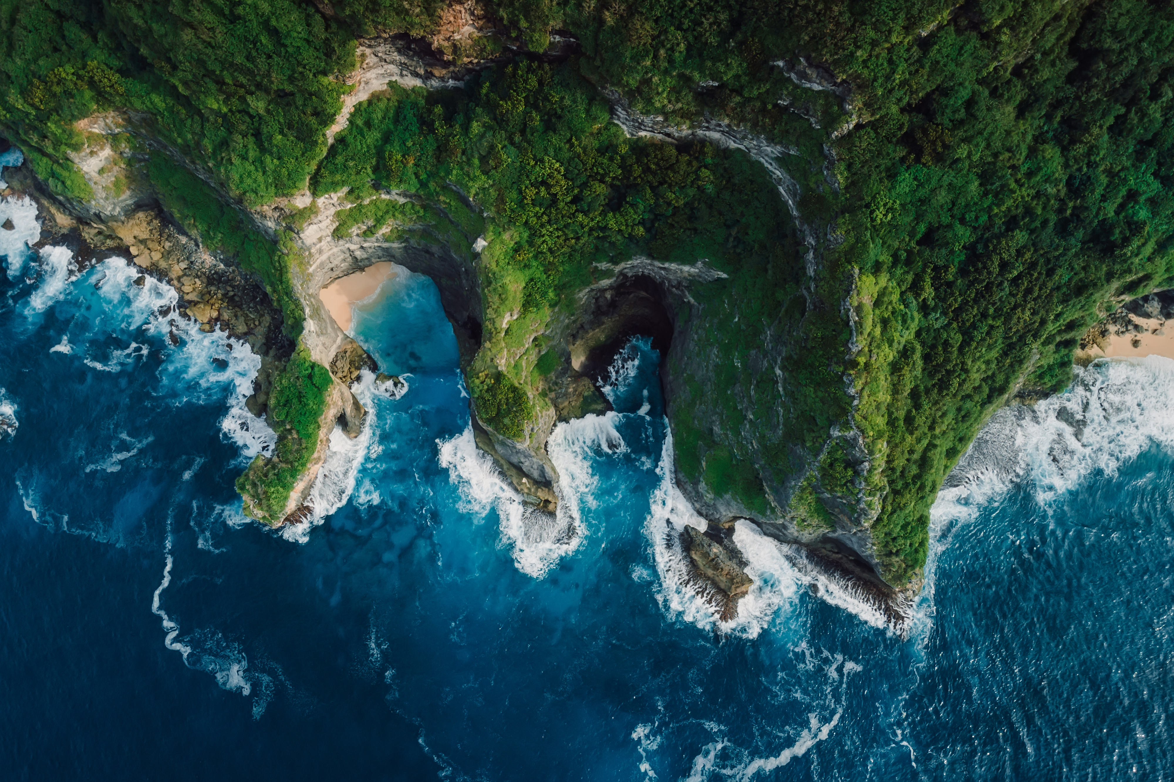 Experience the serene underwater world, filled with vibrant green and blue hues, swimming fish, and the untouched beauty of nature in the ocean, rivers, and seas.